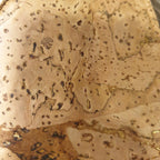 Etui à lunettes Maria EssenTerra