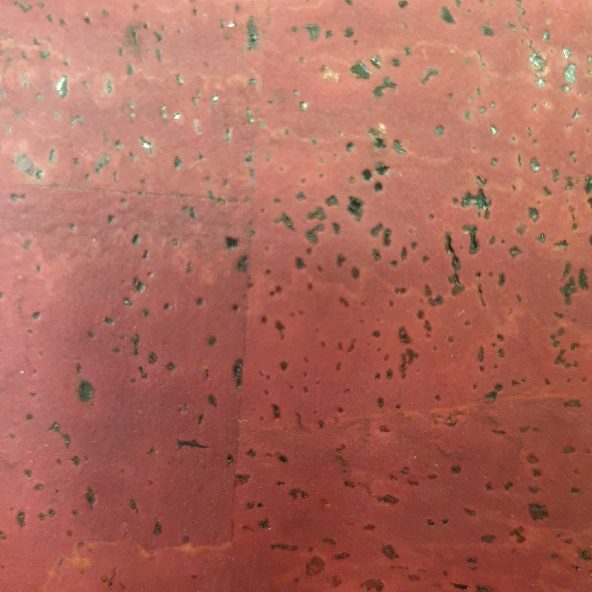 Porte-monnaie Ivan EssenTerra