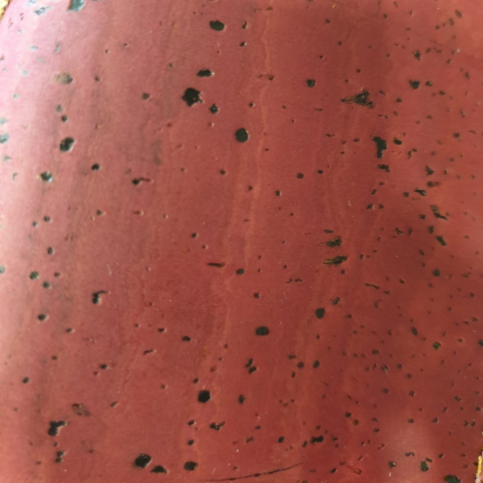 Etui à lunettes Laura EssenTerra