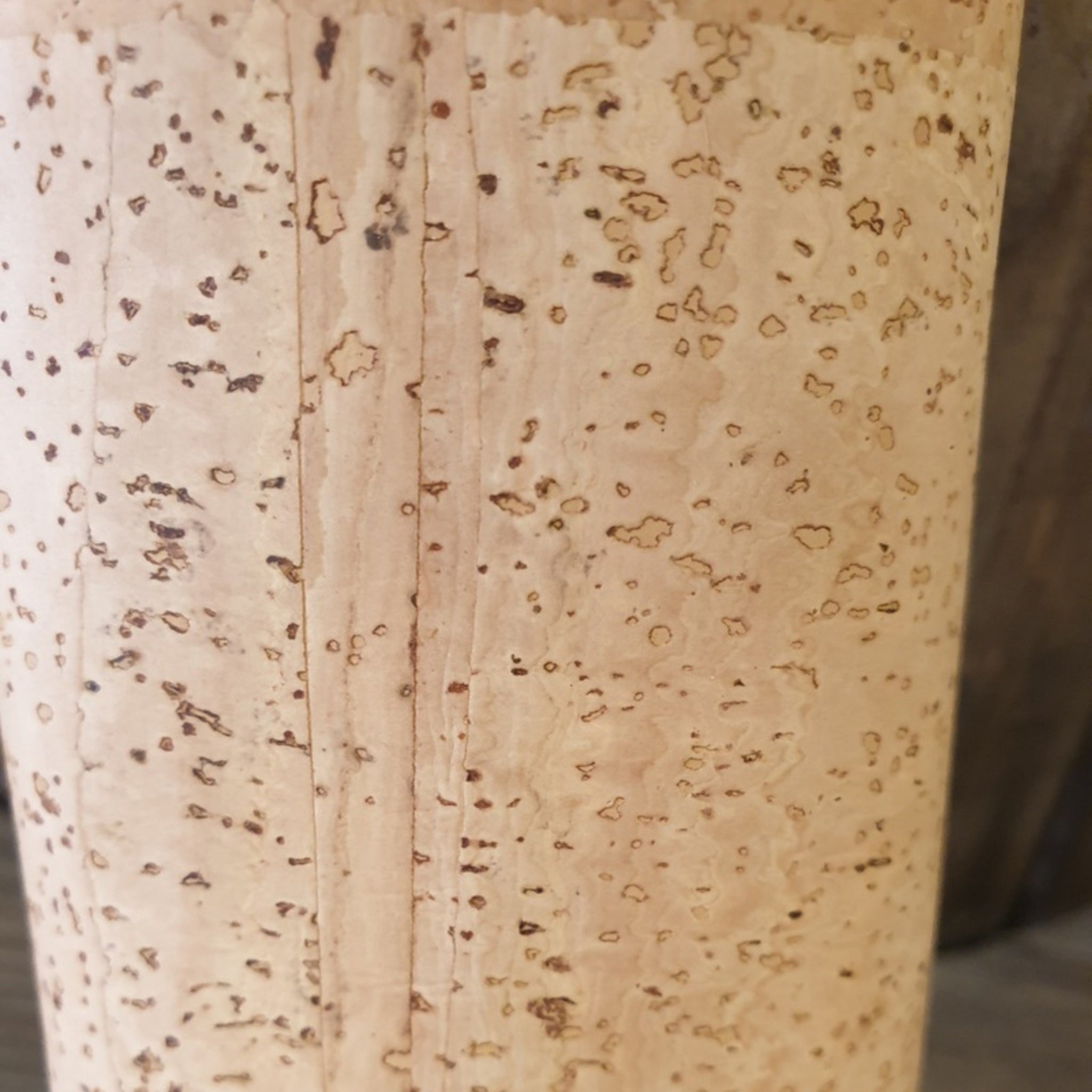 Trousse Adamus EssenTerra