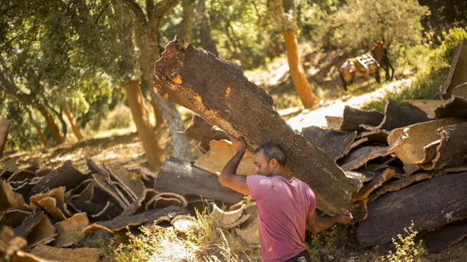 Artisan portugais transportant l'écorce de chêne-liège récoltée de manière traditionnelle et durable