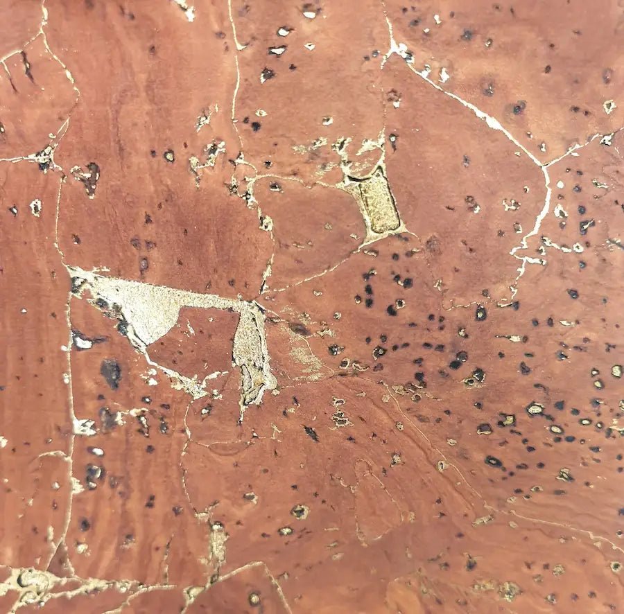 zoom sur tissus de liège 