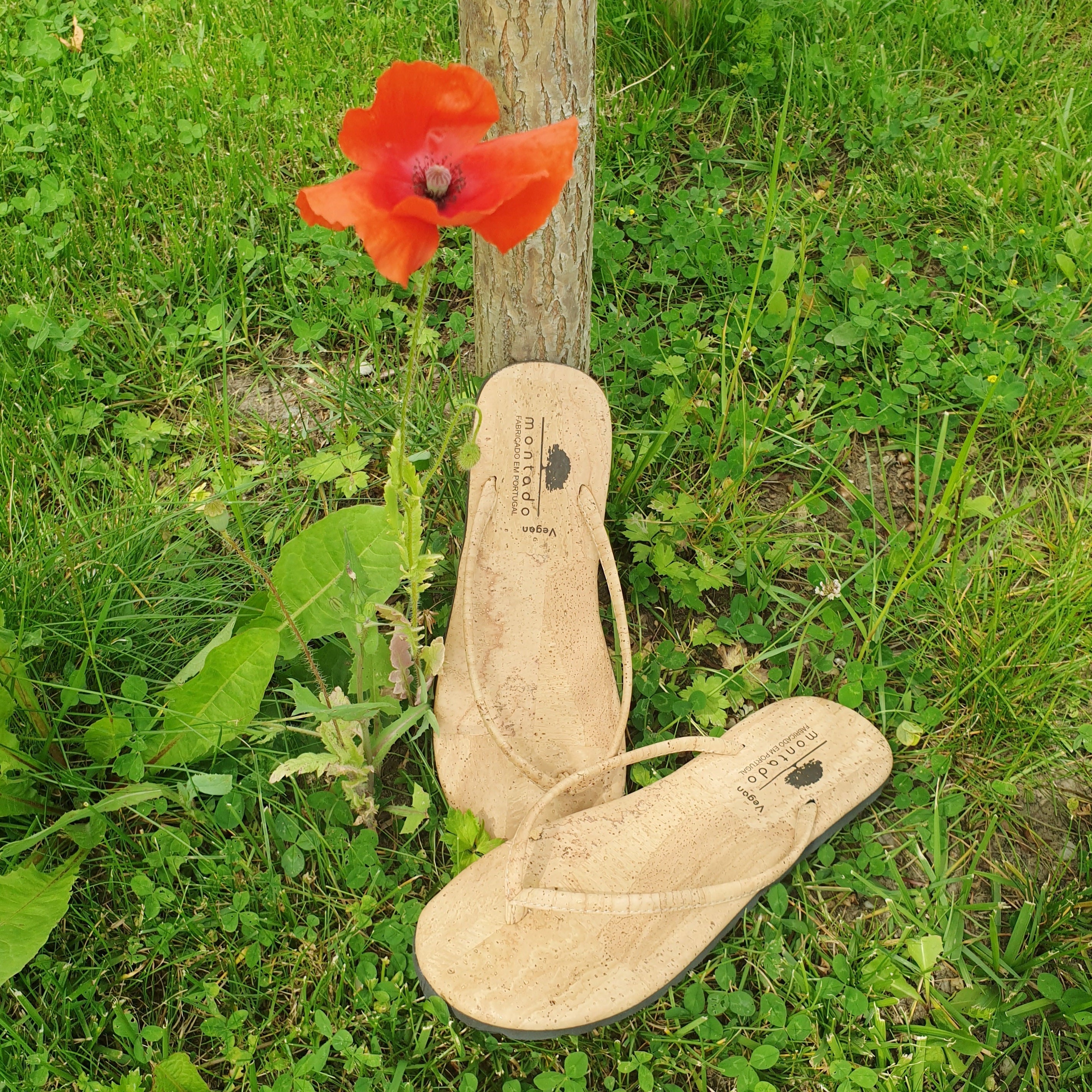 Tong Alexis EssenTerra